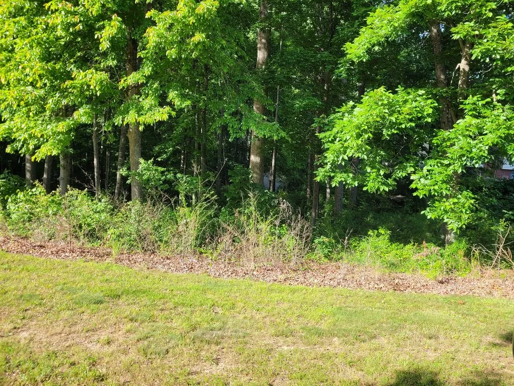 Expert residential landscaping in Fredericksburg, VA by Tamed Terrain