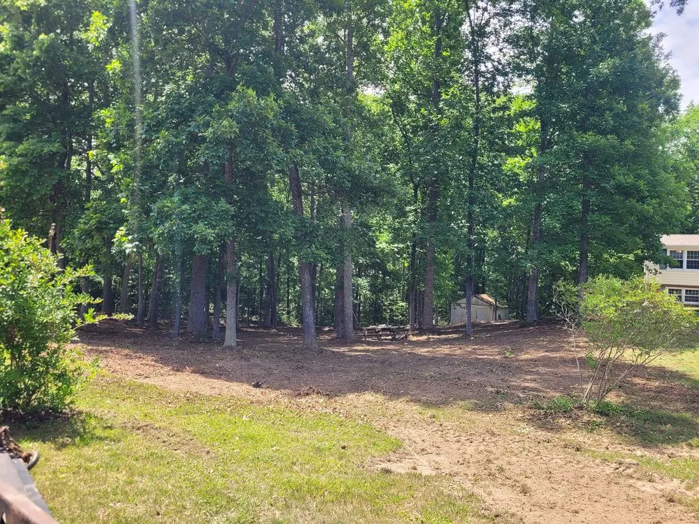 Affordable lawn care service in Fredericksburg, VA by Tamed Terrain