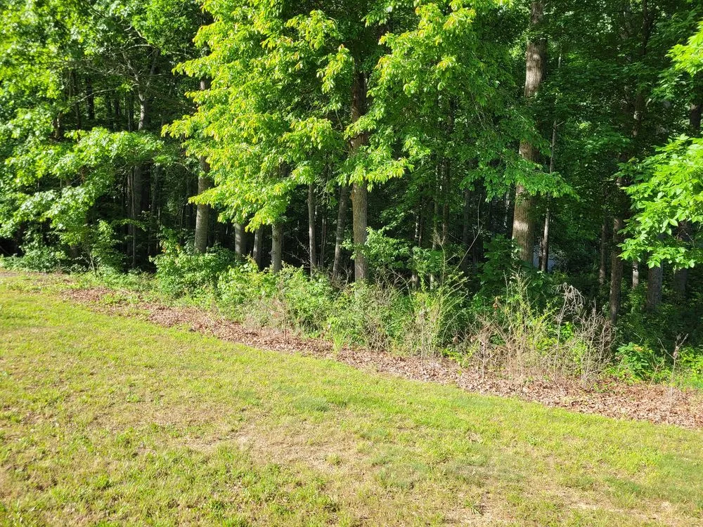 Trusted residential landscaping for outdoor upgrades across Fredericksburg, VA - Tamed Terrain