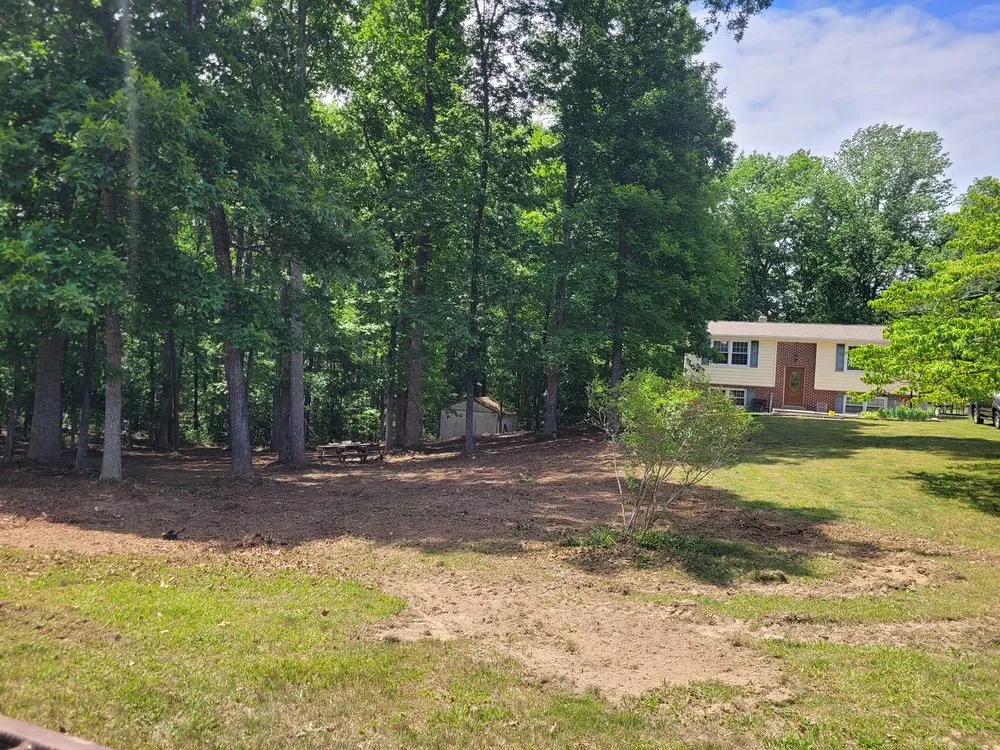 Expert yard maintenance near you in Fredericksburg, VA by Tamed Terrain