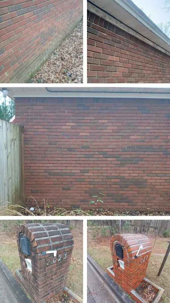 Trusted yard cleanup service in Tuskegee, AL by Tamim Home Services