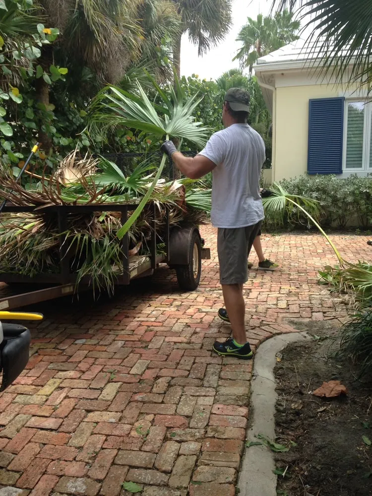 Expert landscape design in Vero Beach, FL - Taming Nature Lawn Care Services
