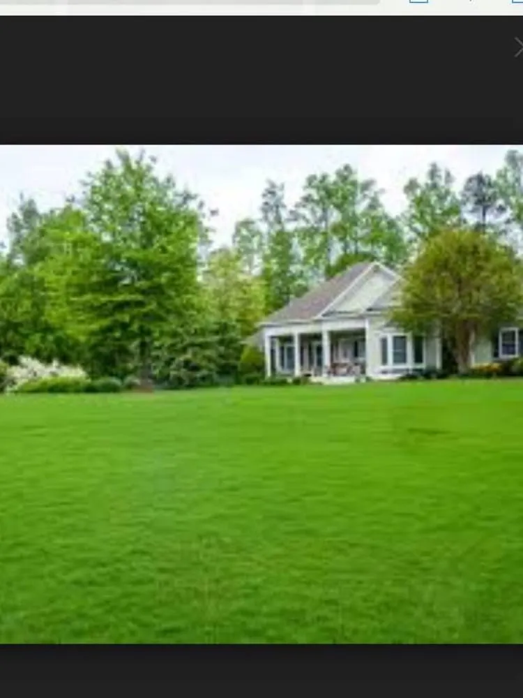 Trusted lawn care service near you across Vero Beach, FL - Taming Nature Lawn Care Services