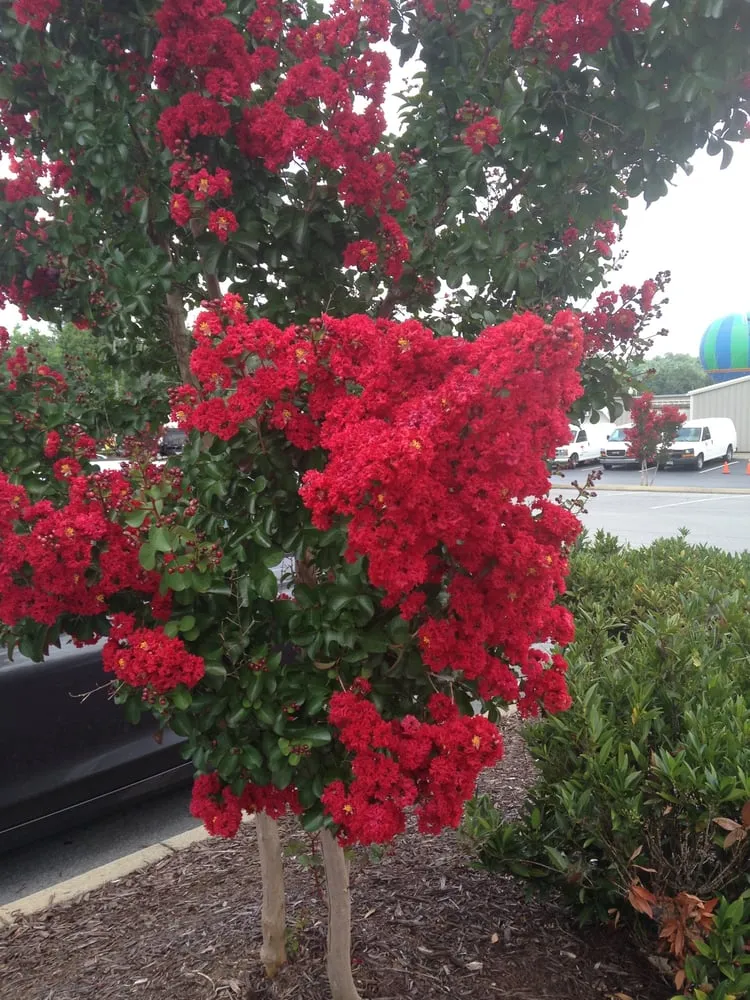 Top-rated outdoor landscaping for residential properties across Vero Beach, FL - Taming Nature Lawn Care Services