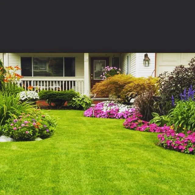 Reliable yard maintenance in Vero Beach, FL - Taming Nature Lawn Care Services