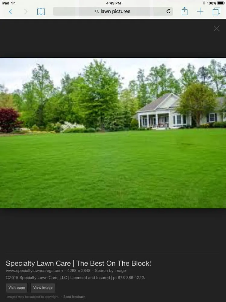 Trusted landscaping services for year-round maintenance in Vero Beach, FL by Taming Nature Lawn Care Services