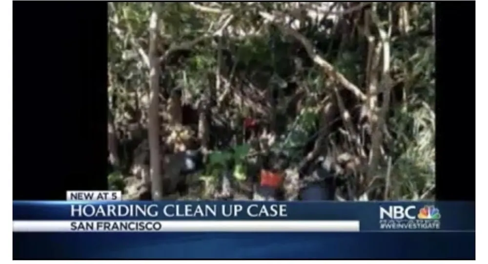 Trusted garden landscaping in San Francisco, CA - Tamir Marder Landscaping