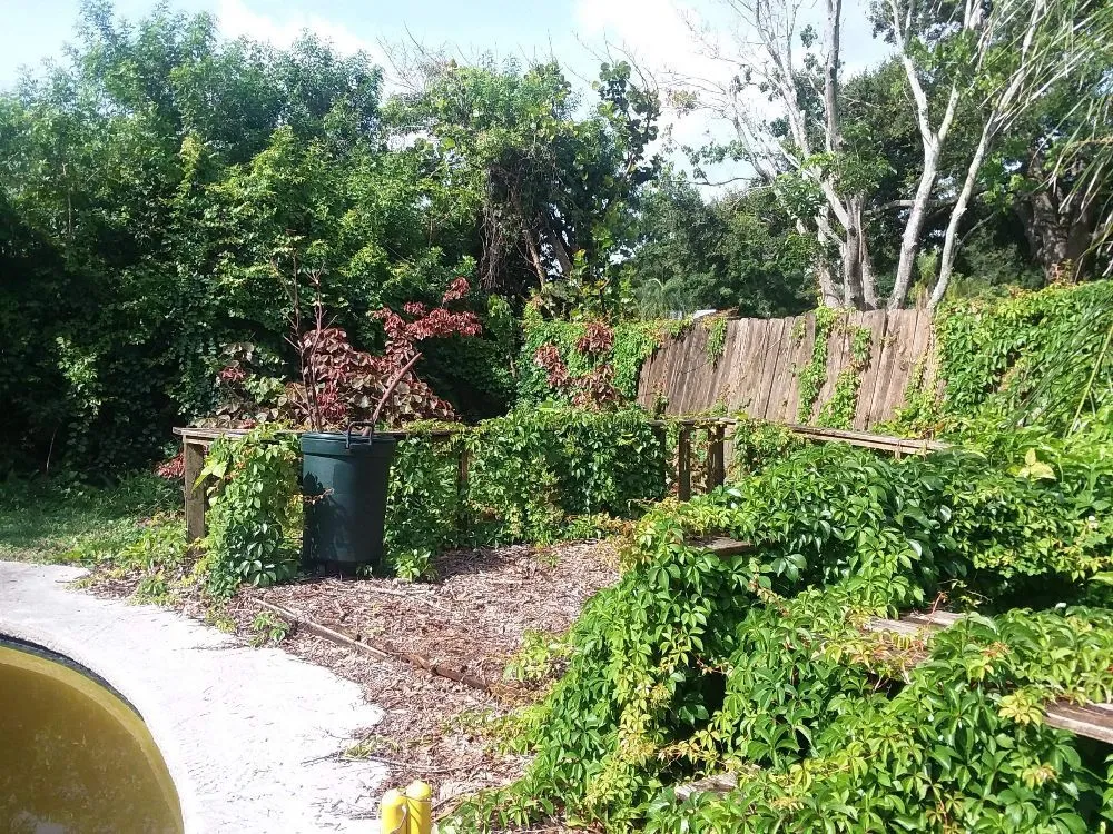 Affordable outdoor landscaping for homes in Ruskin, FL by Tammy & T's Handyman Services