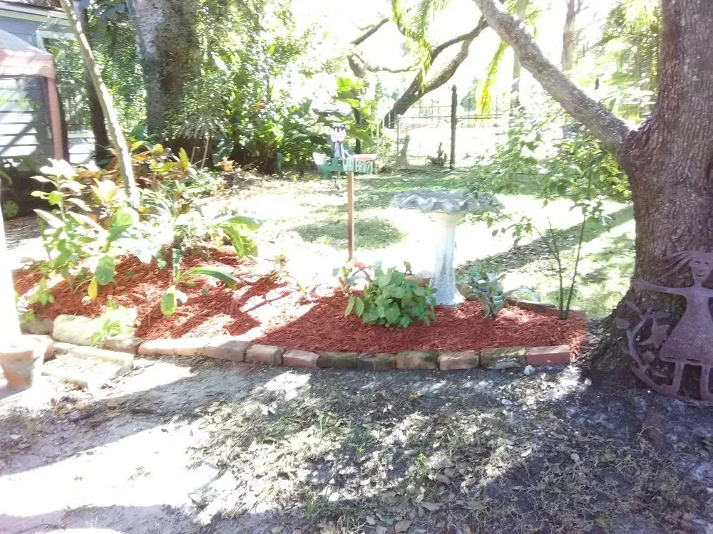 Expert outdoor landscaping in Ruskin, FL - Tammy & T's Handyman Services