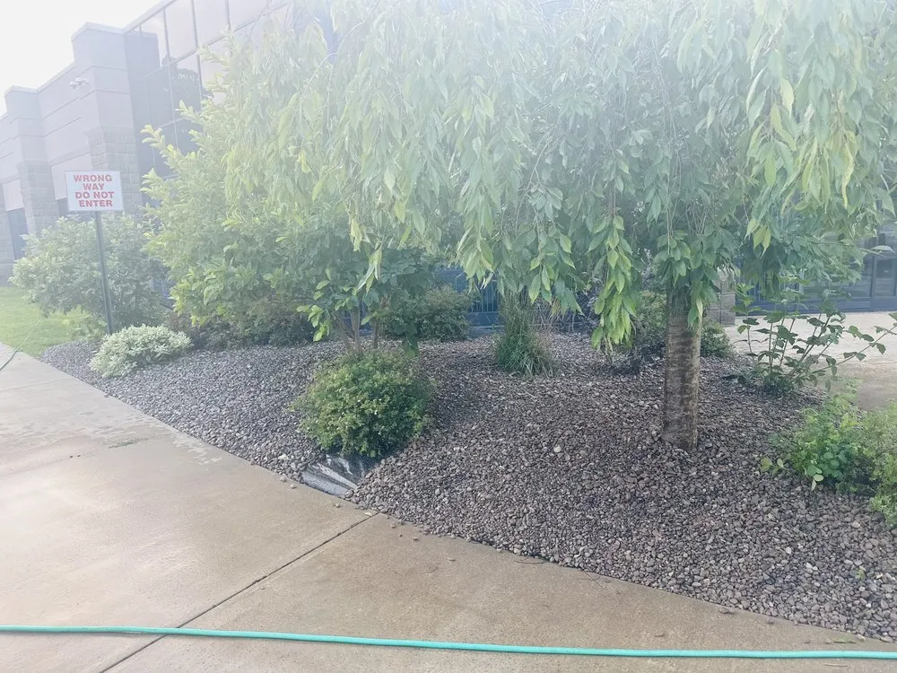 Trusted lawn mowing service with custom design in Buffalo, NY by Tammy Landscape