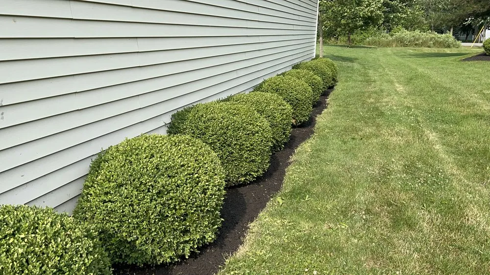 Affordable landscaping services in Buffalo, NY by Tammy Landscape