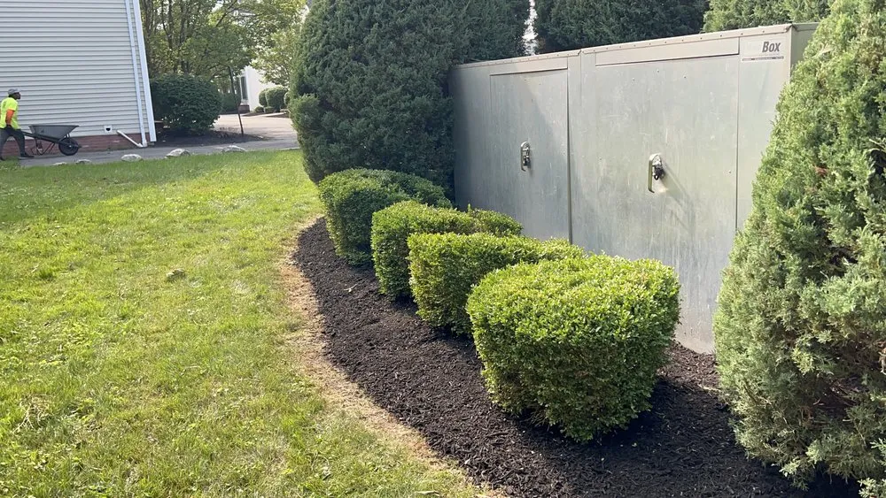 Reliable landscape installation experts serving Buffalo, NY - Tammy Landscape