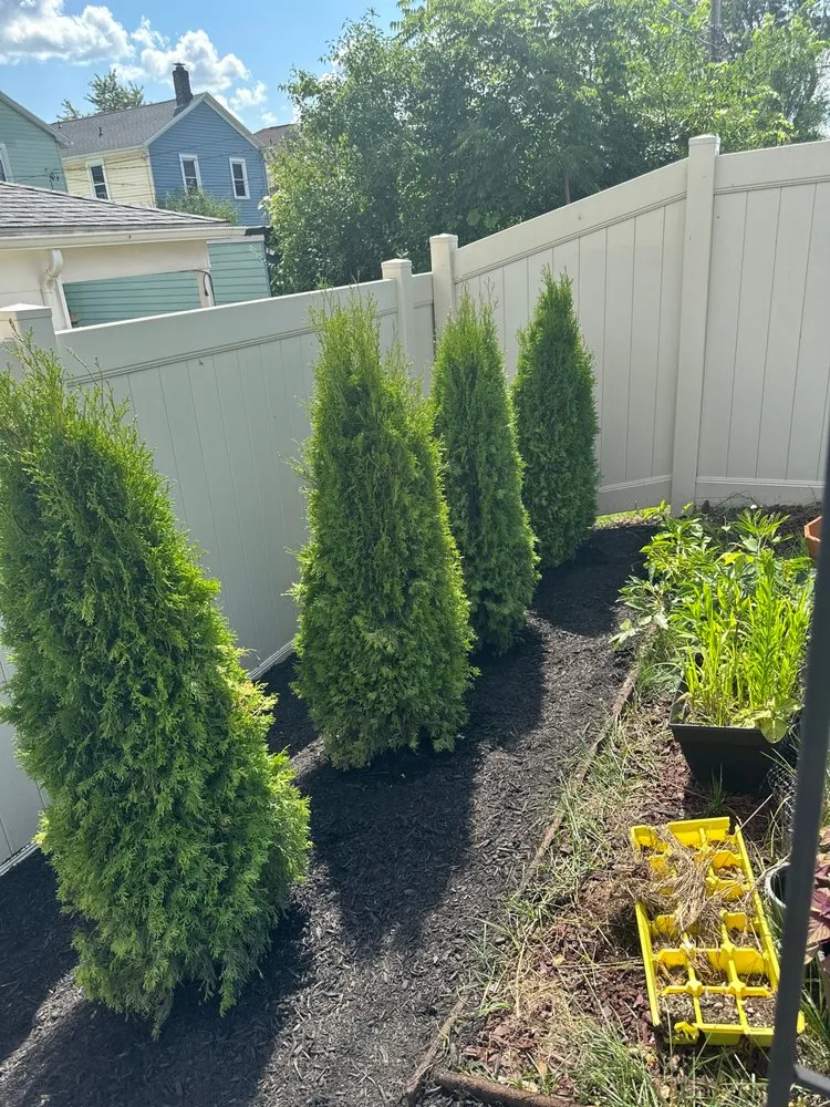 Affordable landscape design experts serving Buffalo, NY - Tammy Landscape