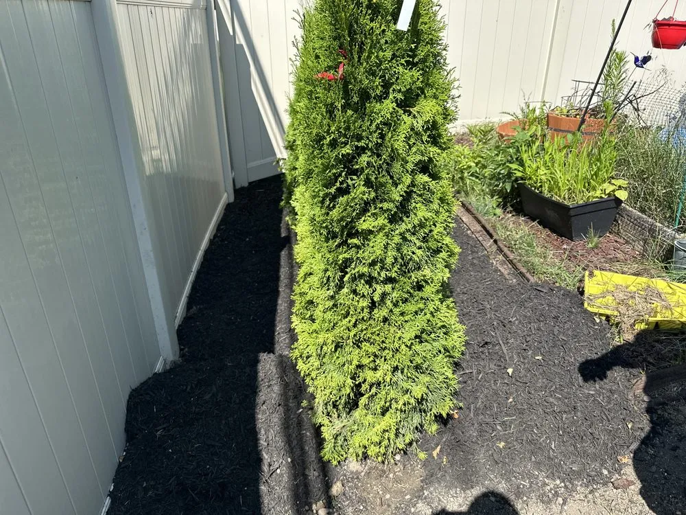 Custom landscaping services for outdoor upgrades in Buffalo, NY by Tammy Landscape