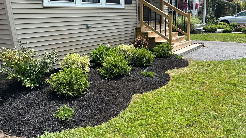 Reliable lawn mowing service experts serving Buffalo, NY - Tammy Landscape