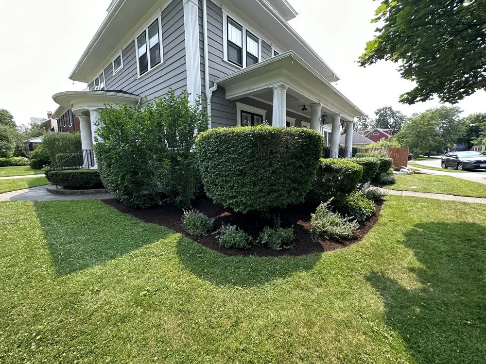 Expert landscape installation in Buffalo, NY by Tammy Landscape