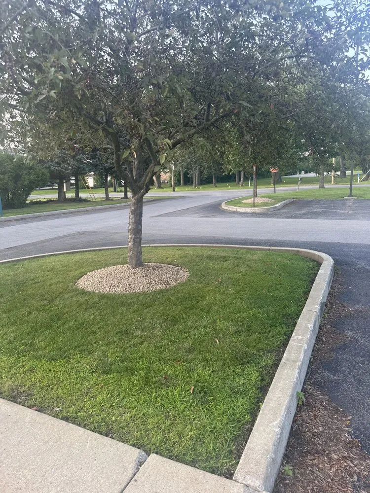 Professional garden landscaping in Buffalo, NY by Tammy Landscape