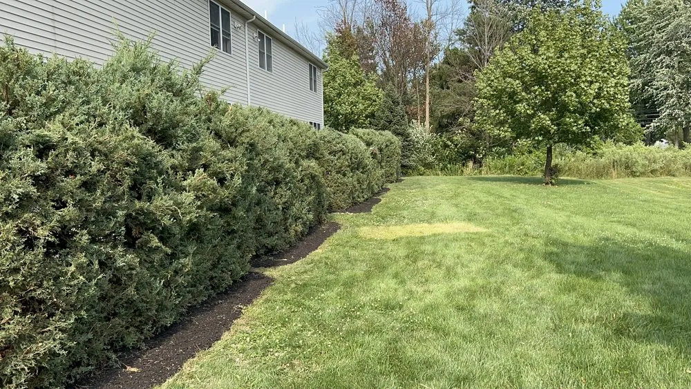 Local garden landscaping experts serving Buffalo, NY - Tammy Landscape