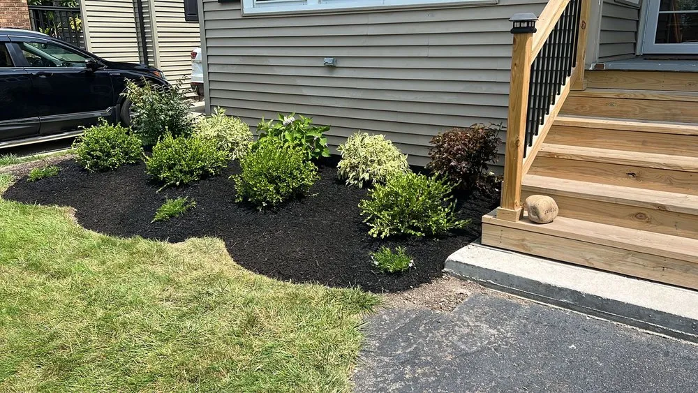 Top-rated yard maintenance in Buffalo, NY by Tammy Landscape