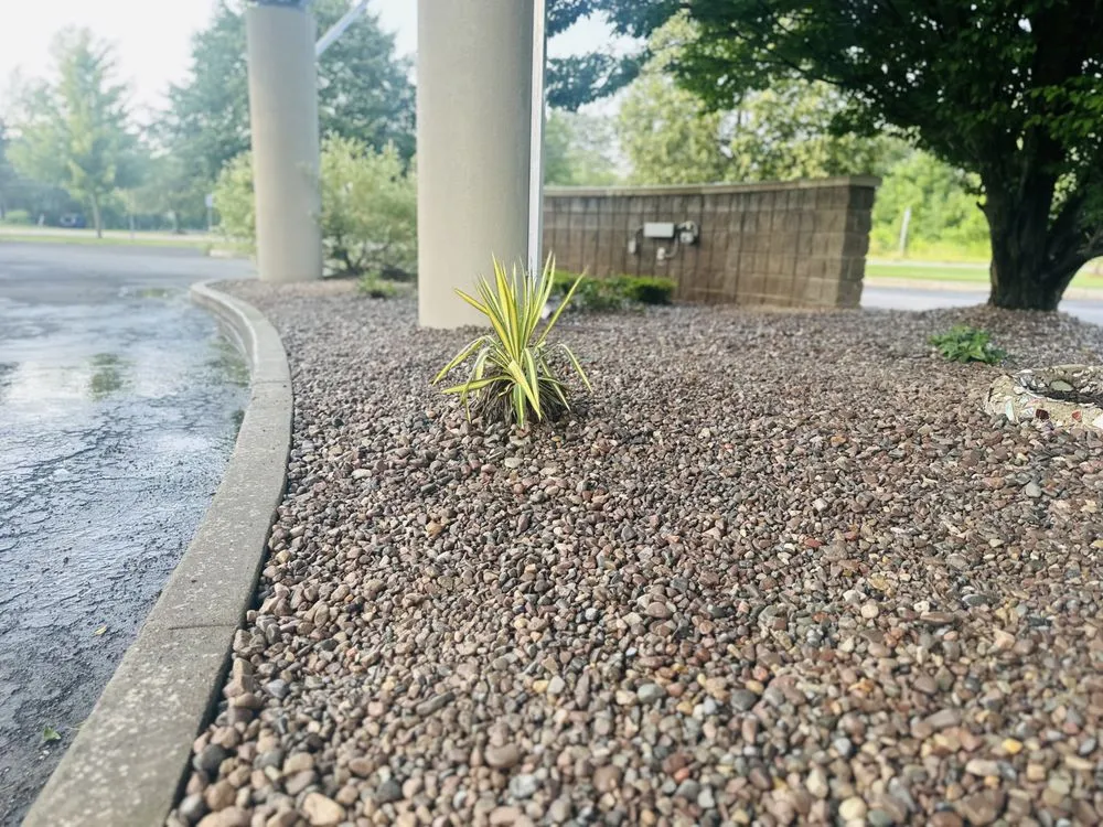 Trusted yard cleanup service for residential properties in Buffalo, NY by Tammy Landscape