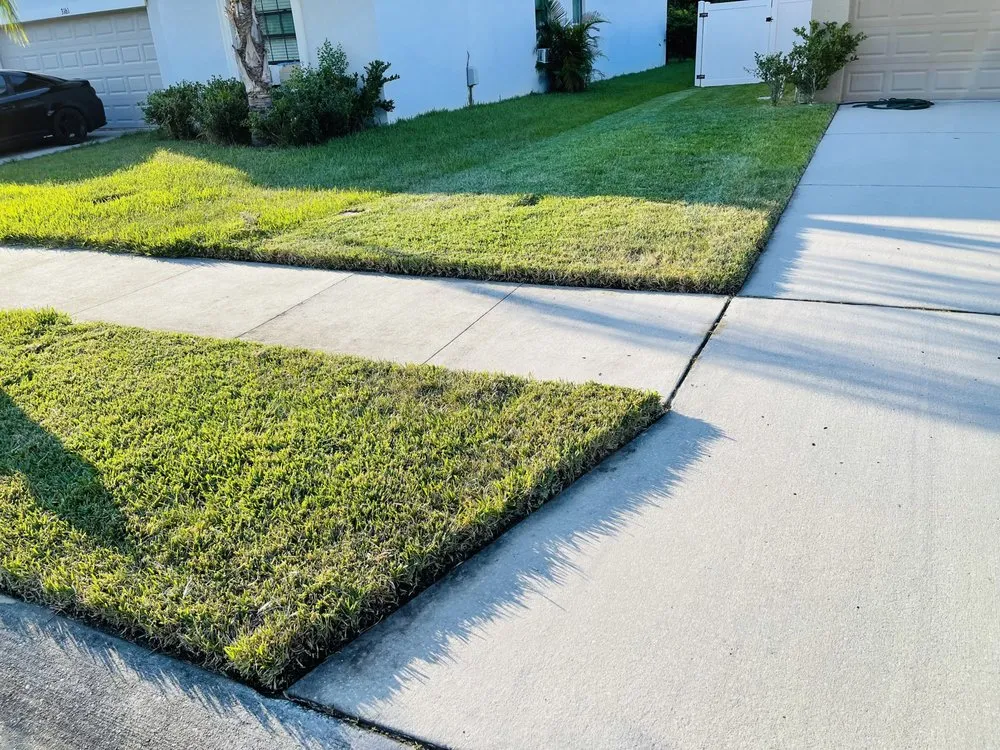 Trusted lawn mowing service in Zephyrhills, FL - Tampa Bama Lawn Service