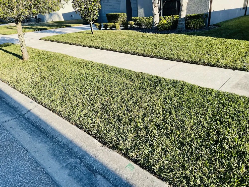 Custom landscape installation in Zephyrhills, FL by Tampa Bama Lawn Service