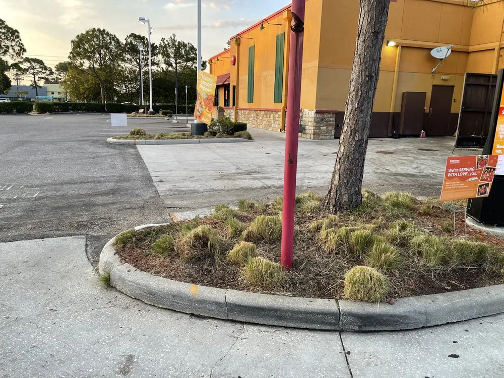 Trusted lawn mowing service for residential properties in Zephyrhills, FL by Tampa Bama Lawn Service