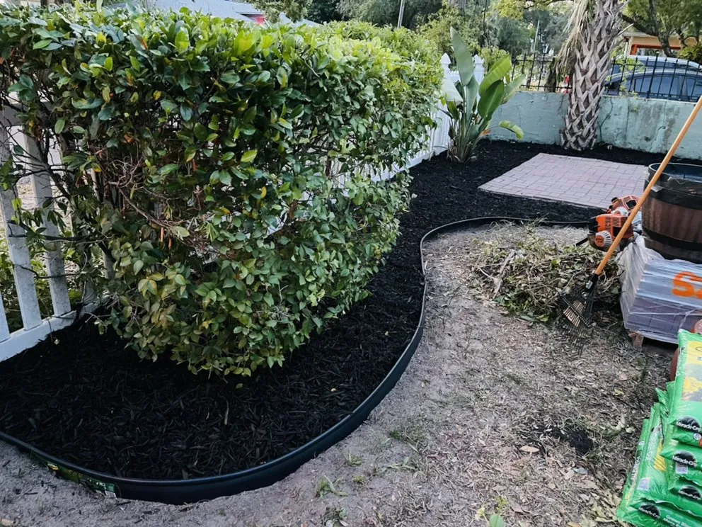 Local residential landscaping experts serving Zephyrhills, FL - Tampa Bama Lawn Service