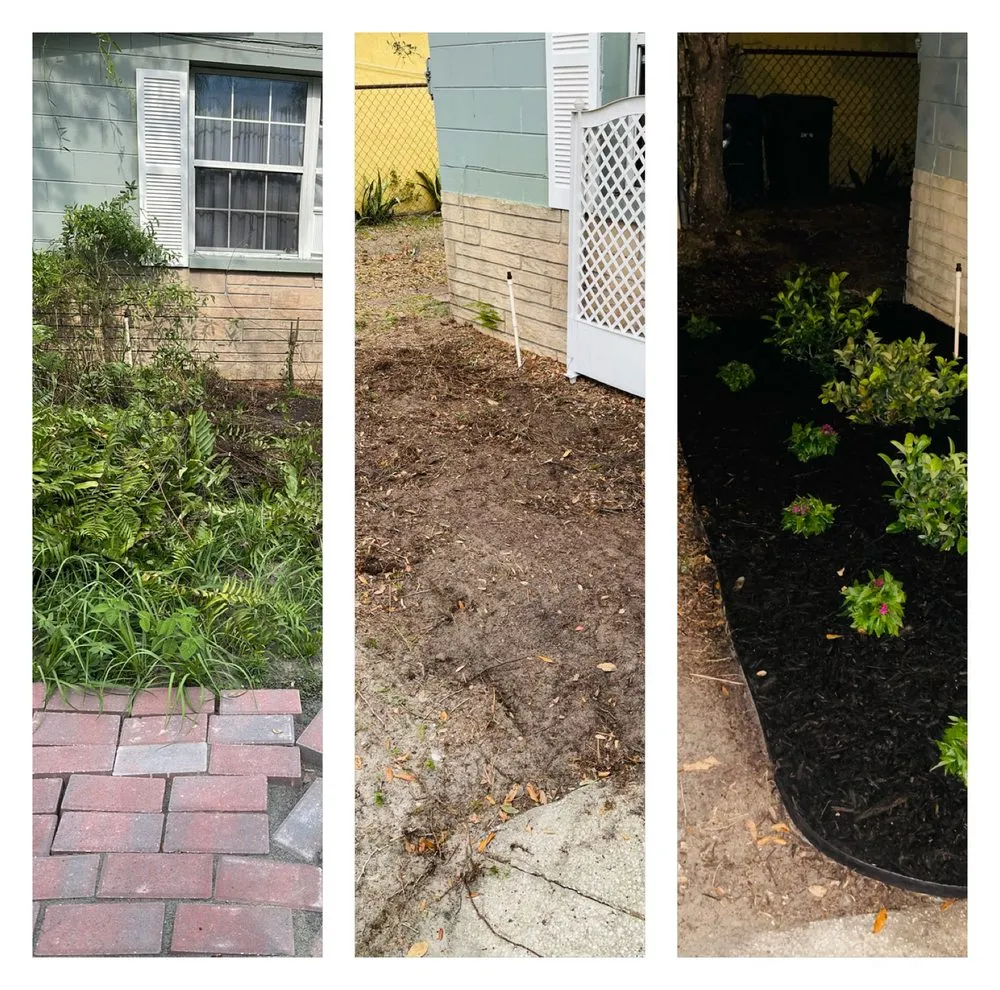 Professional lawn care service in Zephyrhills, FL by Tampa Bama Lawn Service