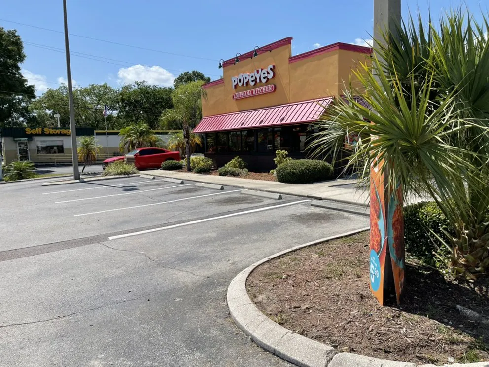 Expert lawn mowing service for year-round maintenance across Zephyrhills, FL - Tampa Bama Lawn Service