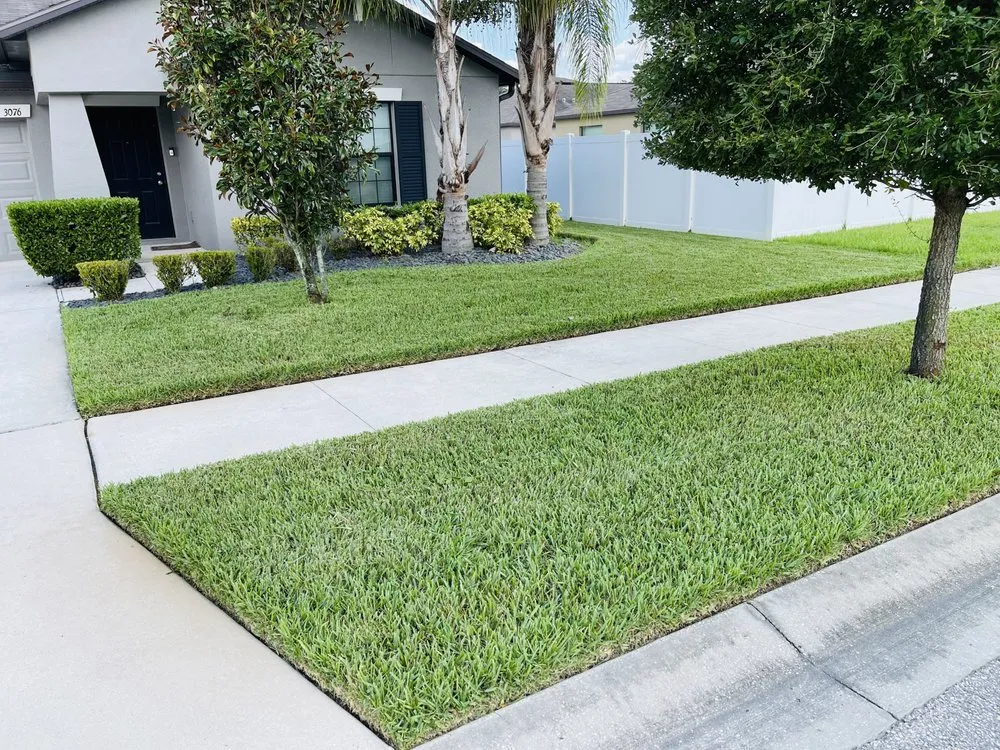Reliable yard maintenance with custom design across Zephyrhills, FL - Tampa Bama Lawn Service