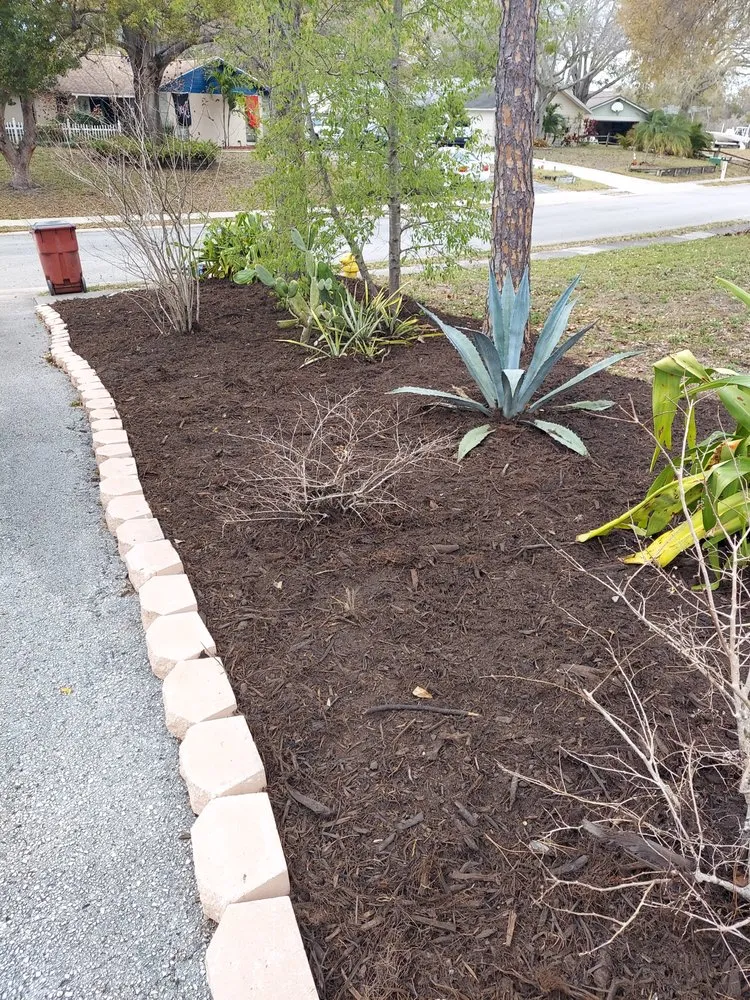 Trusted landscaping services for year-round maintenance across Dunedin, FL - Tampa Bay Lawn Service