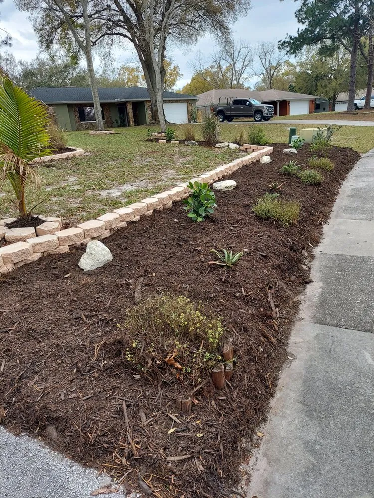 Affordable landscape design for year-round maintenance across Dunedin, FL - Tampa Bay Lawn Service