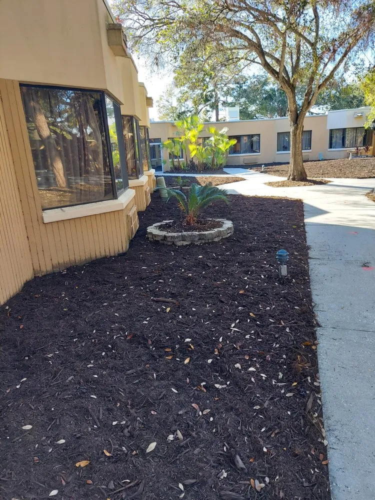 Affordable yard maintenance in Dunedin, FL by Tampa Bay Lawn Service