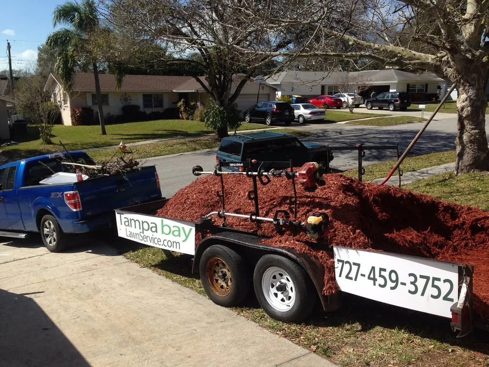 Expert yard cleanup service in Dunedin, FL - Tampa Bay Lawn Service