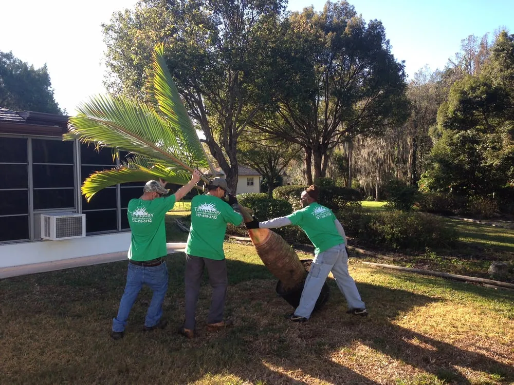 Local landscaping services in Dunedin, FL by Tampa Bay Lawn Service