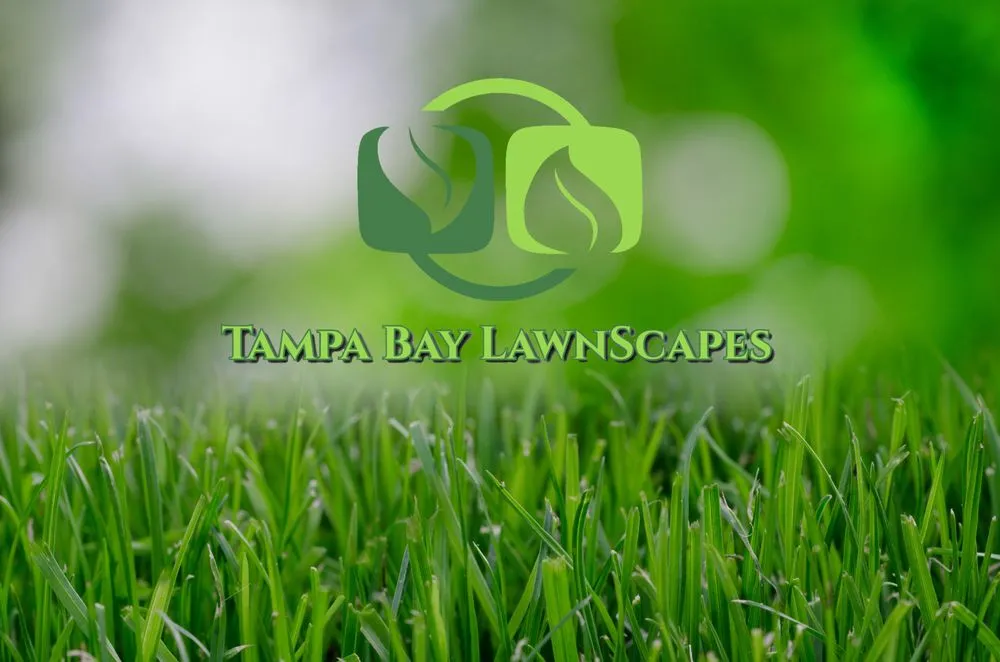 Affordable yard maintenance experts serving Seffner, FL - Tampa Bay LawnScapes