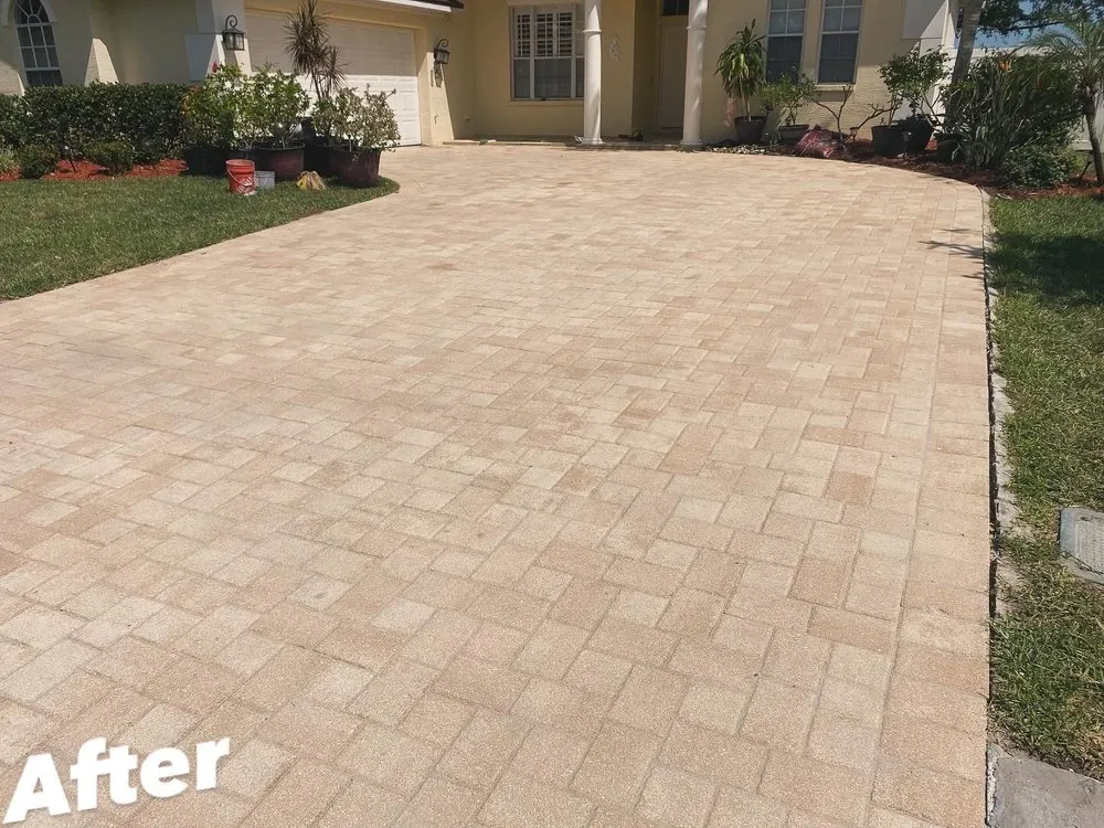 Custom outdoor landscaping for homes in Tarpon Springs, FL by Tampa Bay Pavers And Patio