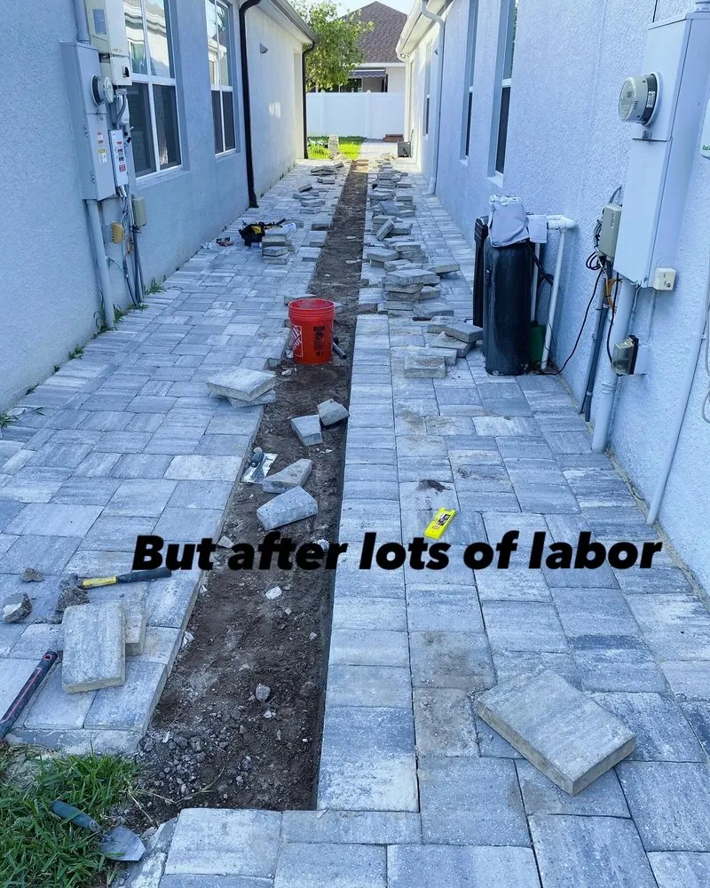 Local yard maintenance experts serving Tarpon Springs, FL - Tampa Bay Pavers And Patio