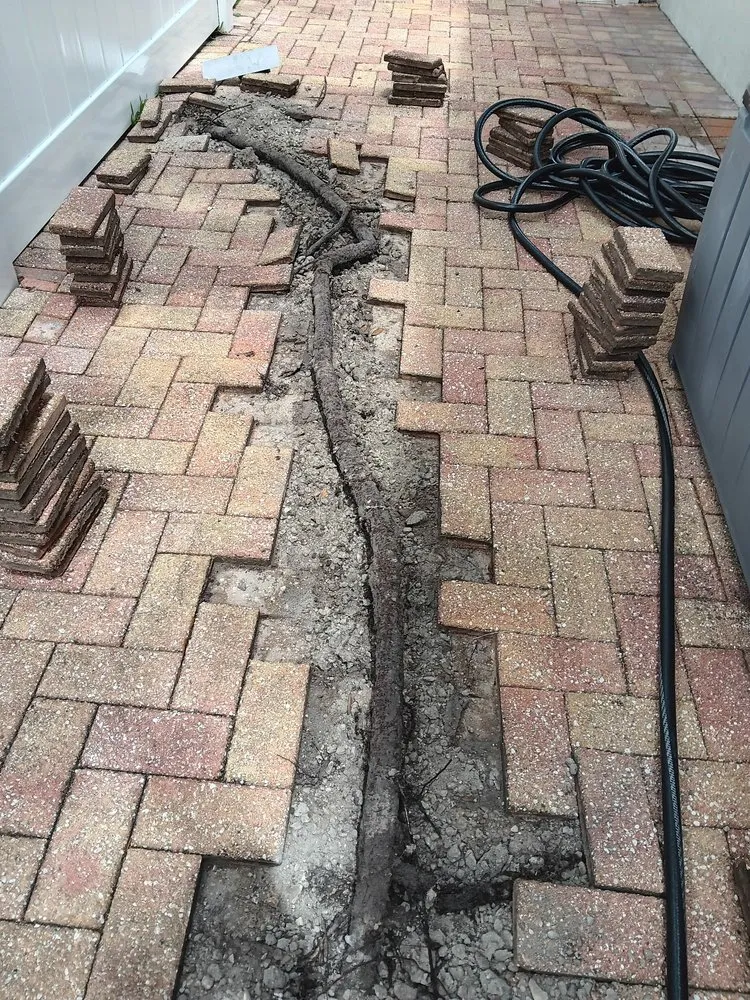 Reliable lawn care service in Tarpon Springs, FL by Tampa Bay Pavers And Patio