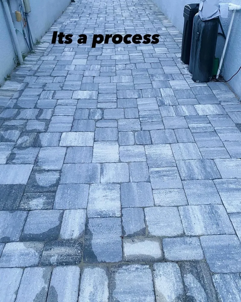 Reliable yard cleanup service for year-round maintenance in Tarpon Springs, FL by Tampa Bay Pavers And Patio