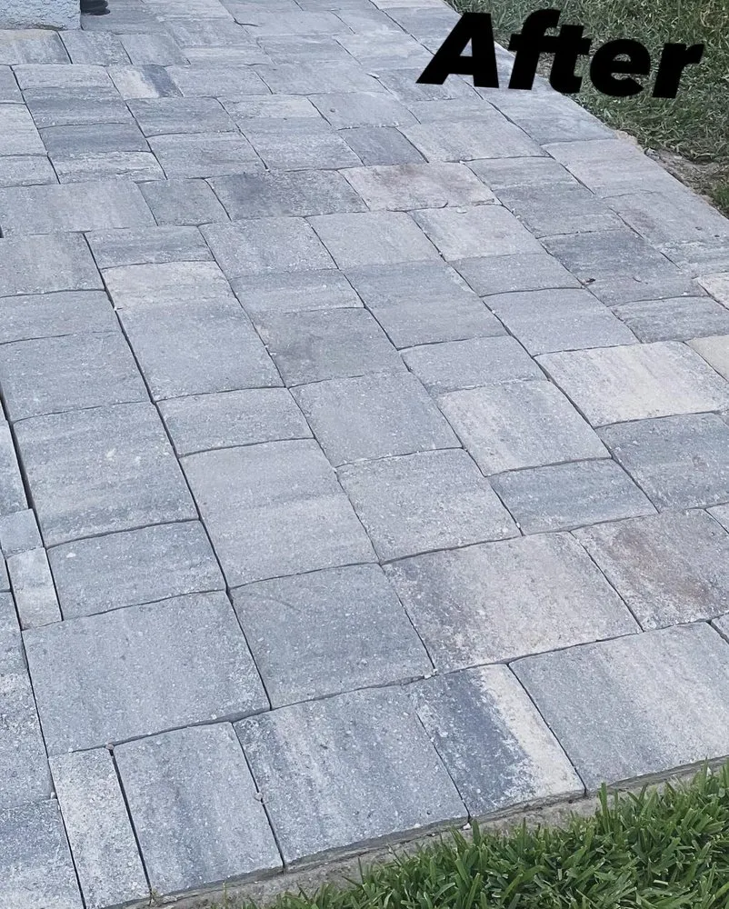 Trusted landscape design in Tarpon Springs, FL - Tampa Bay Pavers And Patio