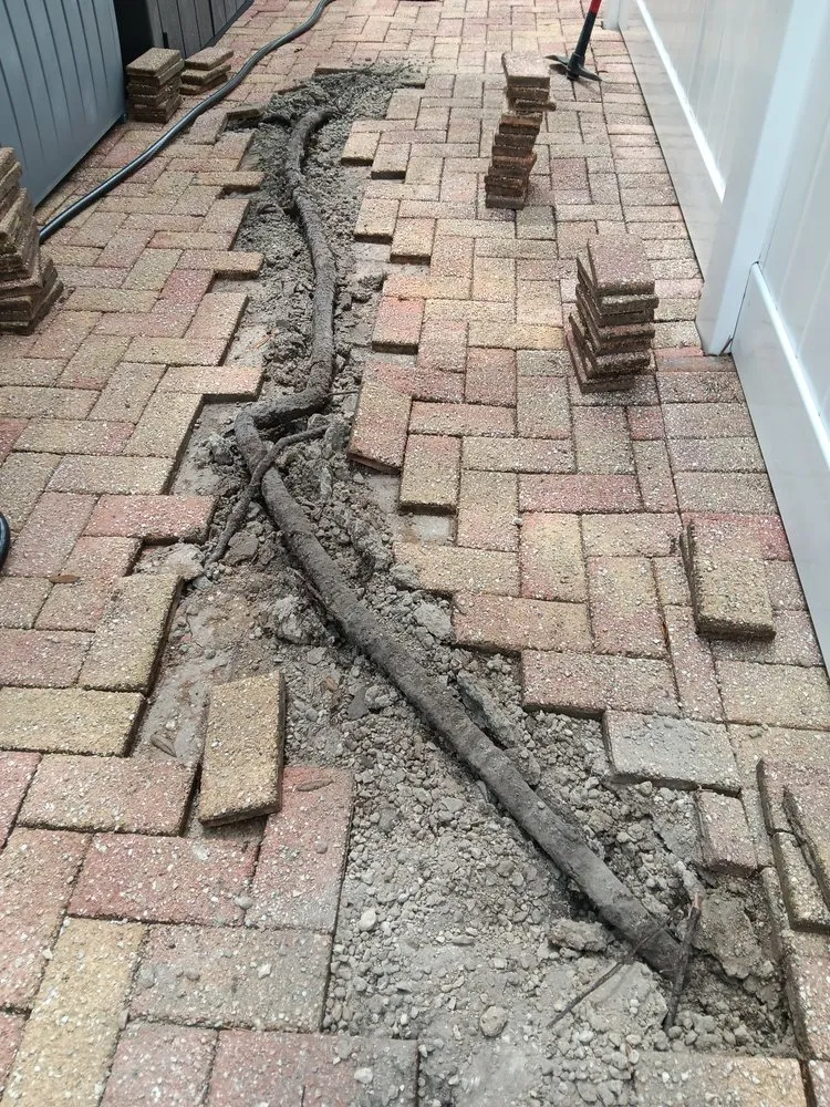 Local landscape design for outdoor upgrades in Tarpon Springs, FL by Tampa Bay Pavers And Patio