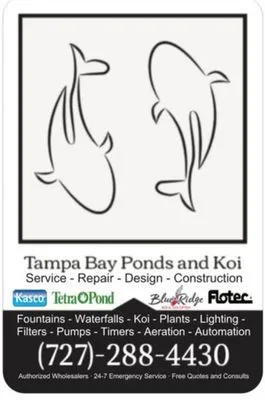 Tampa Bay Ponds & Koi Logo