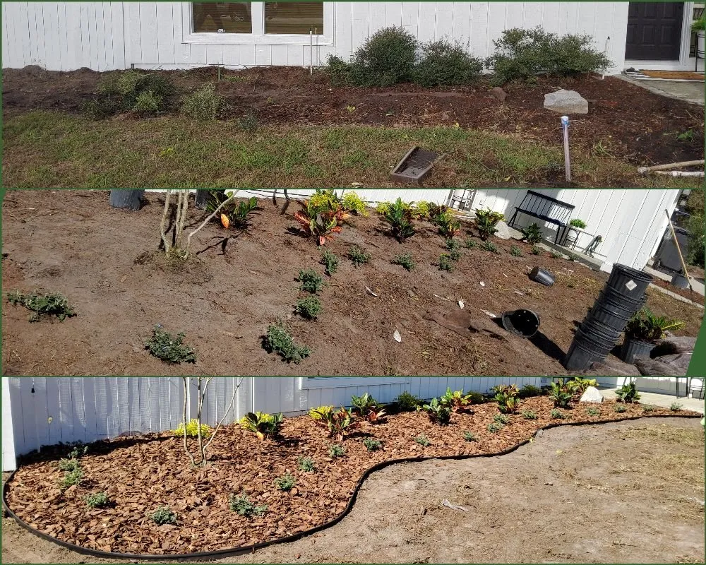 Expert yard maintenance for beautiful yards in Tampa, FL by Tampa Elite Landscape & Design