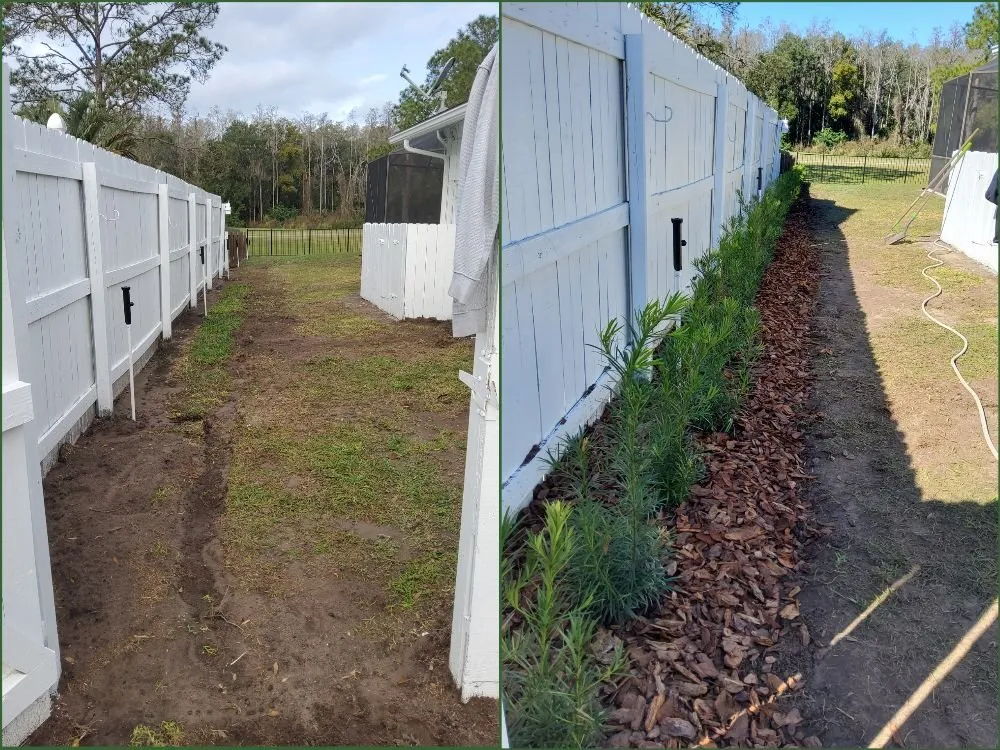 Top-rated landscape design for year-round maintenance in Tampa, FL by Tampa Elite Landscape & Design