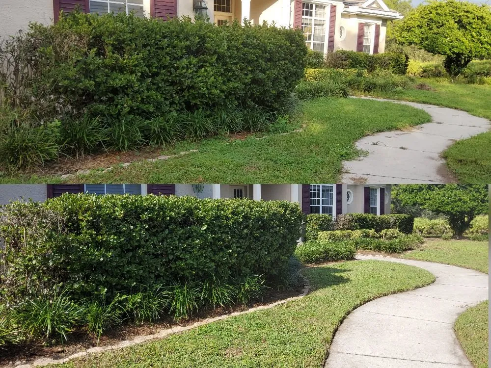 Reliable residential landscaping in Tampa, FL by Tampa Elite Landscape & Design