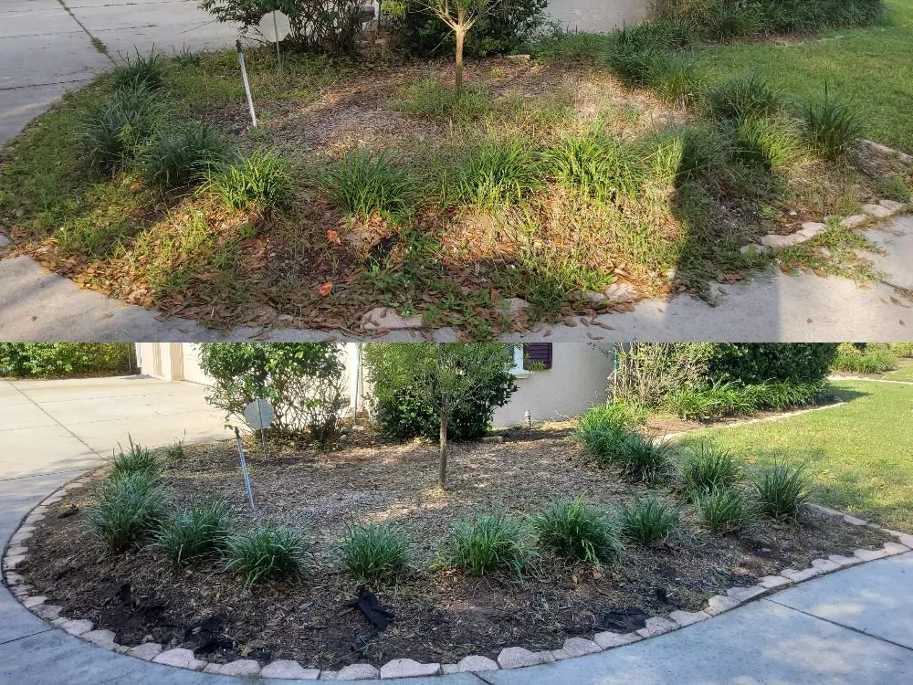Expert lawn care service for outdoor upgrades in Tampa, FL by Tampa Elite Landscape & Design