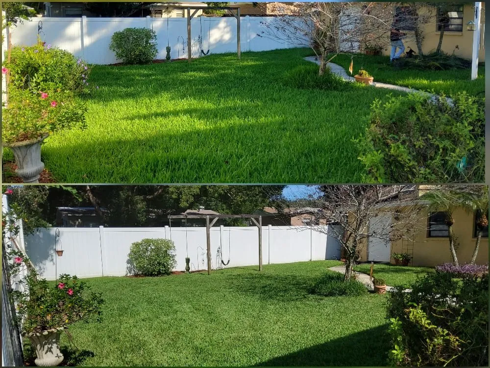Top-rated yard cleanup service in Tampa, FL - Tampa Elite Landscape & Design