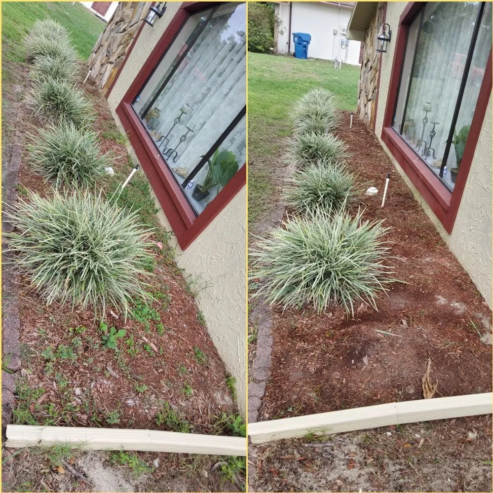 Professional residential landscaping experts serving Tampa, FL - Tampa Elite Landscape & Design